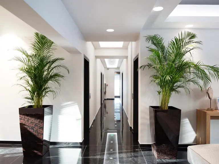 Снимка 5 - Sea Level Hotel - Халкидики-Касандра, Гърция