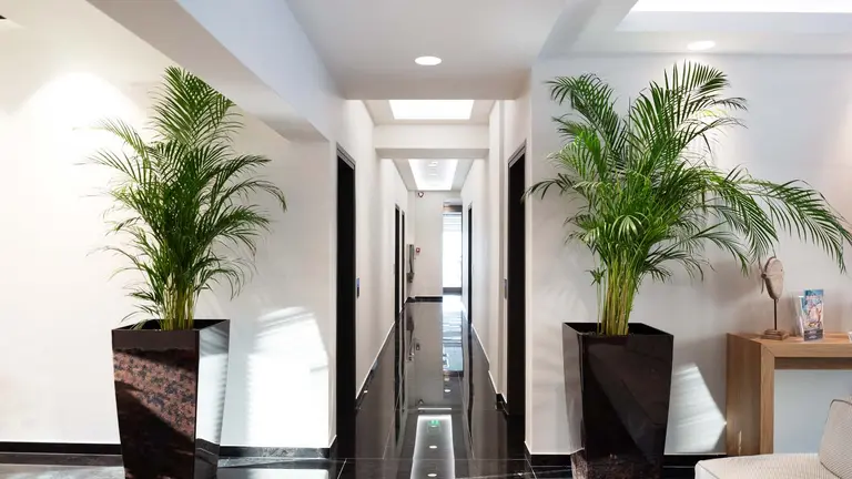 Снимка 5 - Sea Level Hotel - Халкидики-Касандра, Гърция