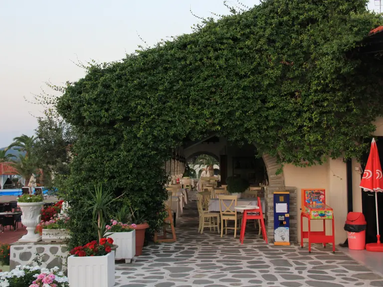 Снимка 33 - Assa Maris Hotel - Халкидики-Ситония, Гърция