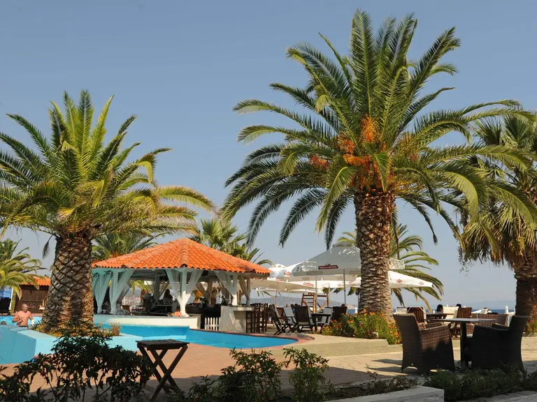 Снимка 40 - Assa Maris Hotel - Халкидики-Ситония, Гърция