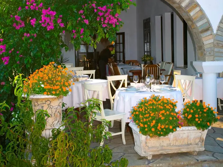 Снимка 31 - Assa Maris Hotel - Халкидики-Ситония, Гърция