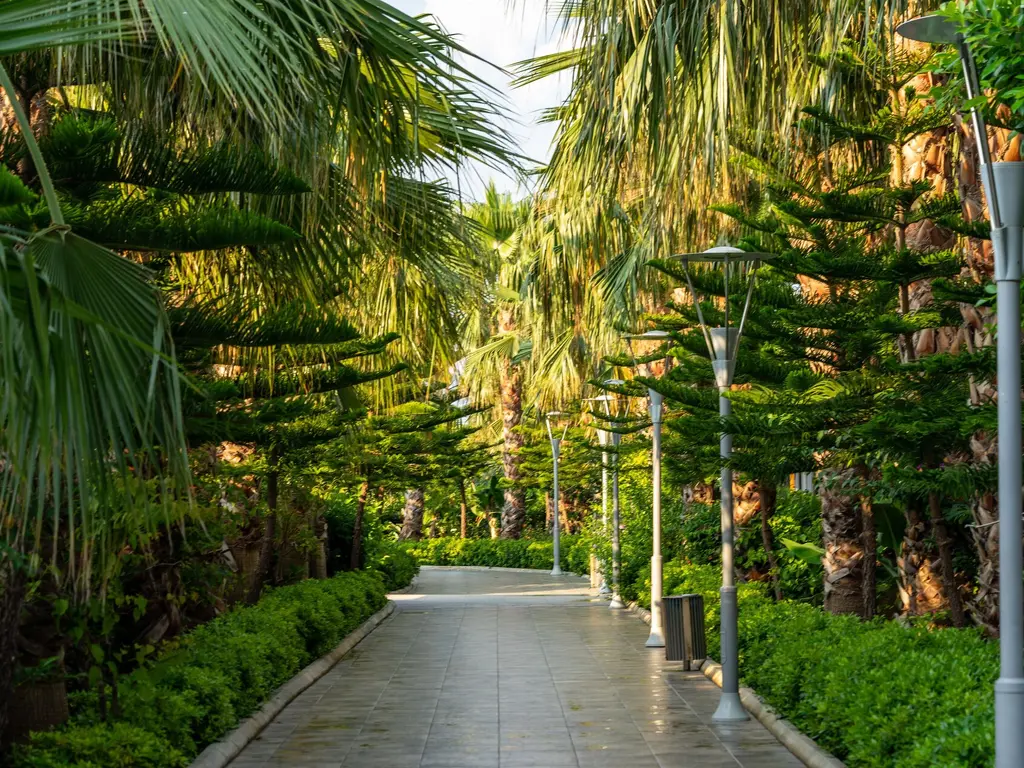 Снимка 9 - Sunmelia Beach Resort Hotel & Spa - Анталия-Сиде, Турция