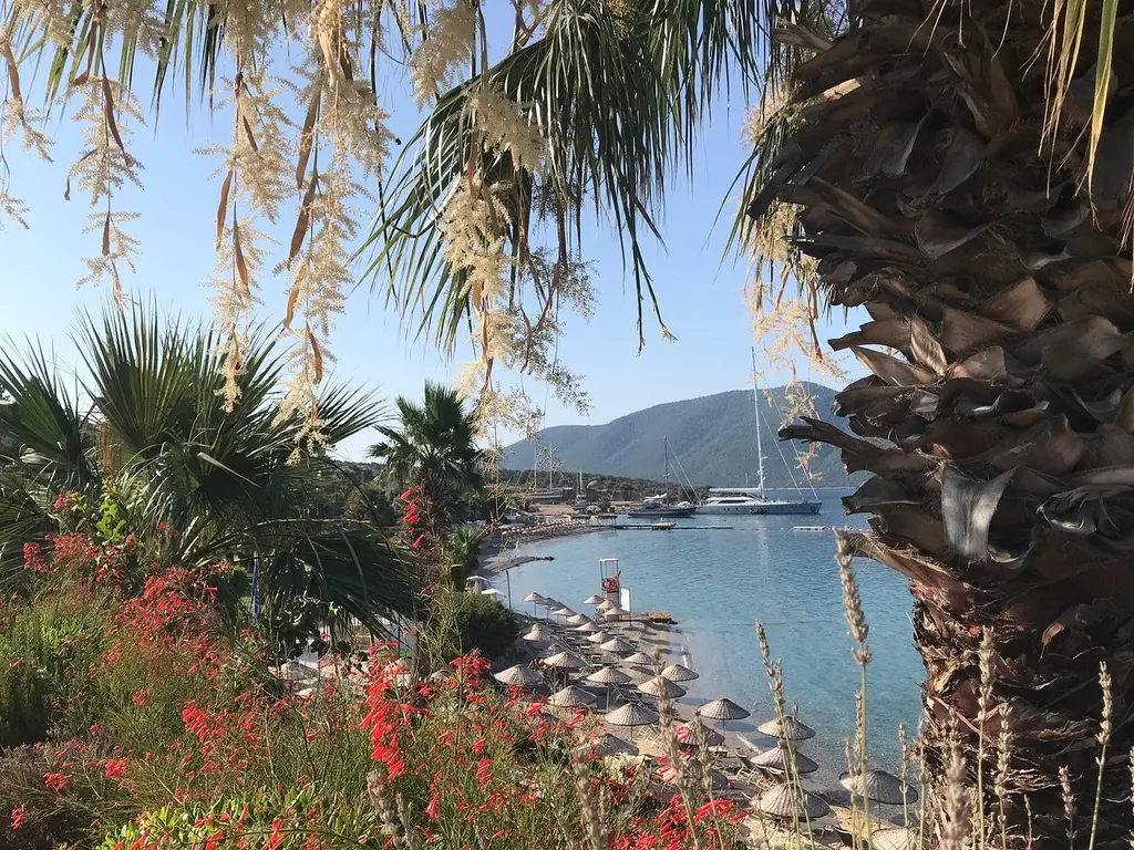 Снимка 7 - TUI Magic Life Bodrum - Бодрум, Турция