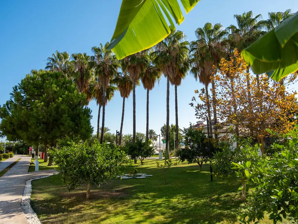 Снимка 8 - Corendon Hydros Club Kemer - Анталия-Кемер, Турция