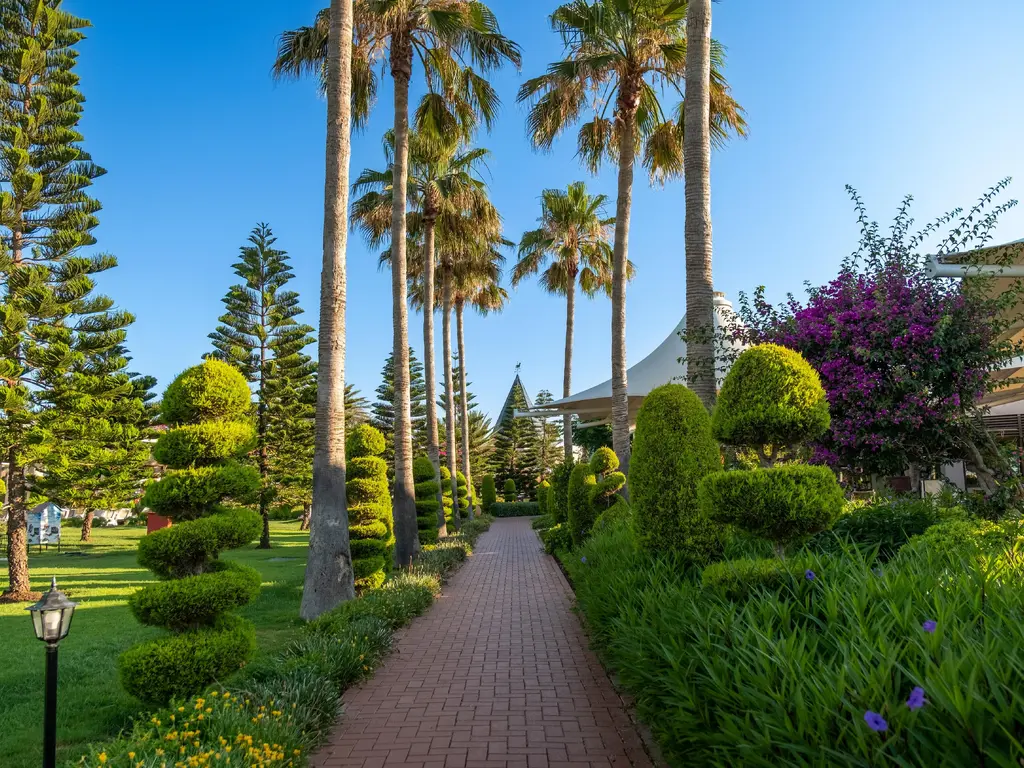Снимка 9 - TUI Magic Life Belek - Анталия-Белек, Турция