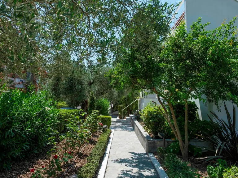 Снимка 3 - Aristides Hotel - Халкидики-Касандра, Гърция