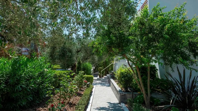 Снимка 3 - Aristides Hotel - Халкидики-Касандра, Гърция