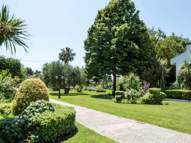 Снимка 4 - Aristides Hotel - Халкидики-Касандра, Гърция