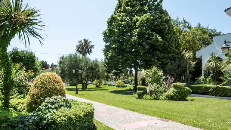 Снимка 4 - Aristides Hotel - Халкидики-Касандра, Гърция