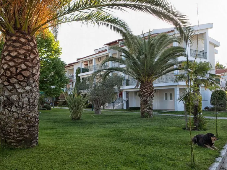 Снимка 16 - Aristides Hotel - Халкидики-Касандра, Гърция