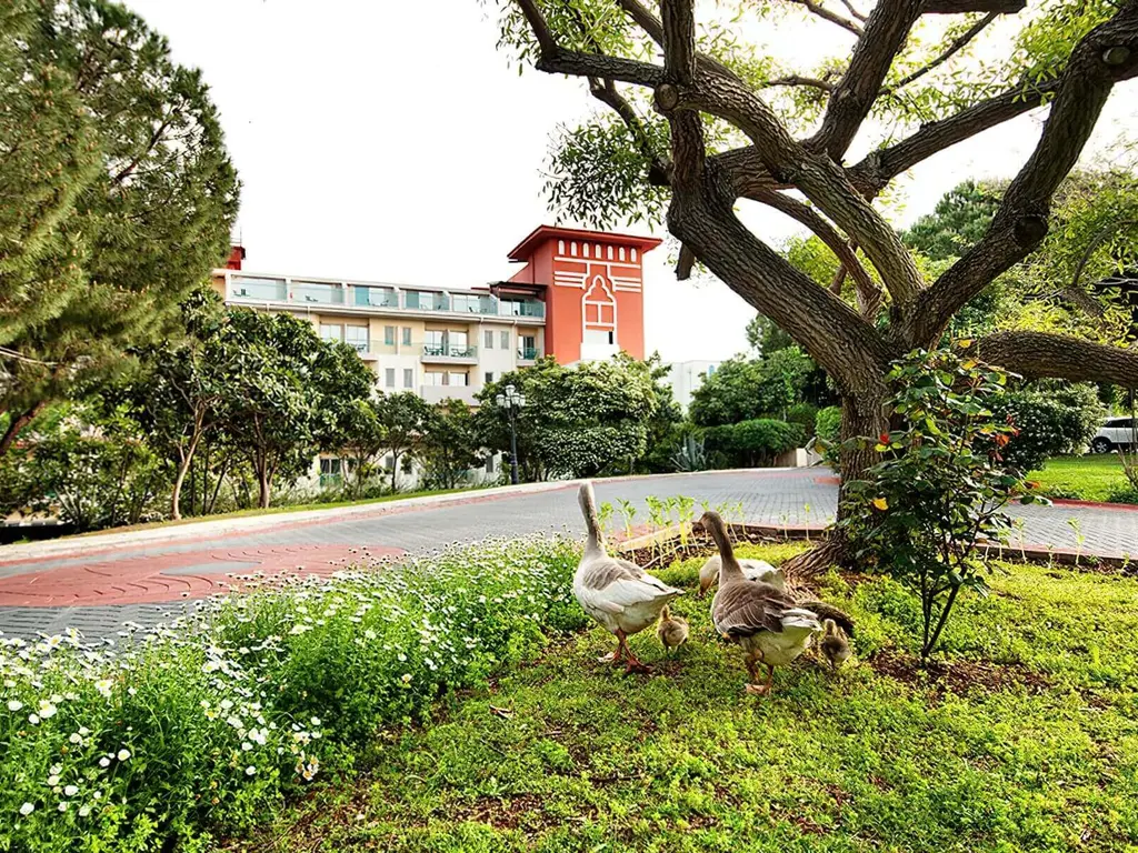 Снимка 10 - Belconti Resort Hotel - Анталия-Белек, Турция