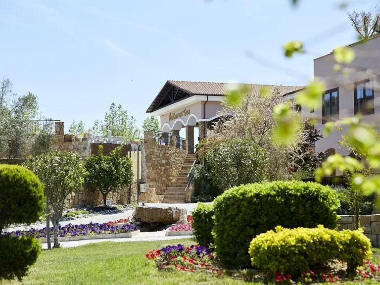 Снимка 39 - Anthemus Sea Beach Hotel & Spa - Халкидики-Ситония, Гърция