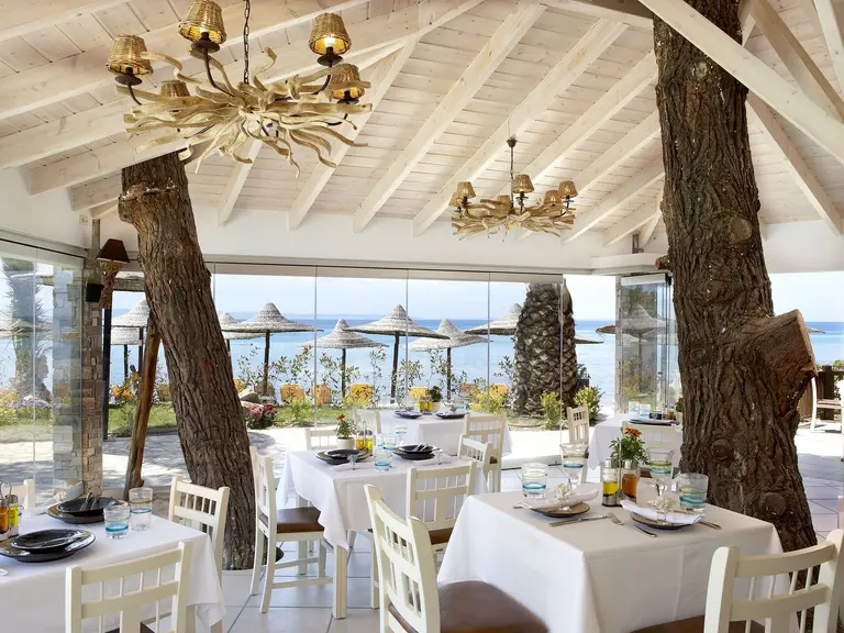 Снимка 21 - Anthemus Sea Beach Hotel & Spa - Халкидики-Ситония, Гърция