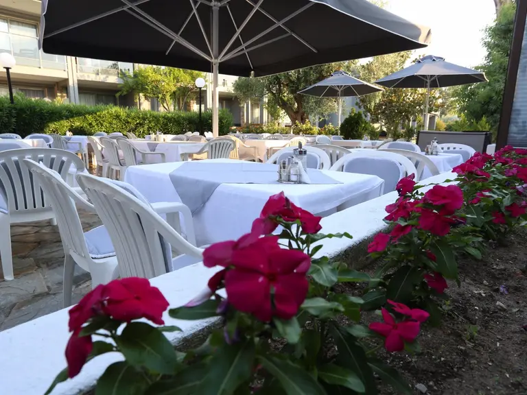 Снимка 19 - Dionysos Hotel - Халкидики-Касандра, Гърция