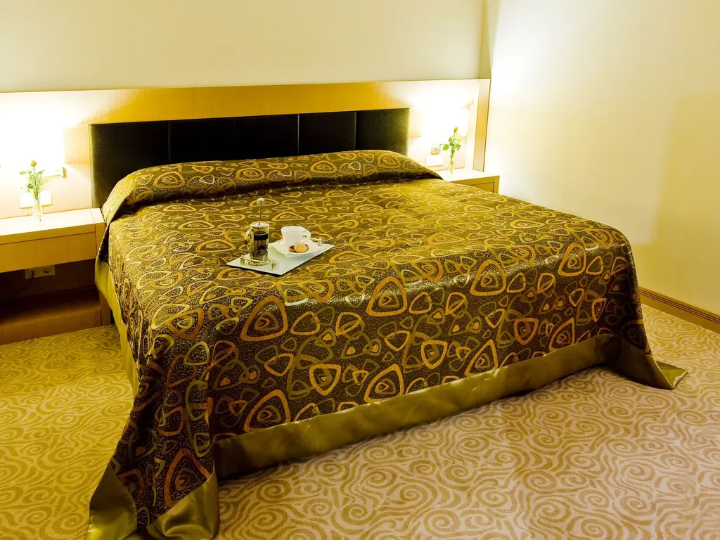 Снимка 6 - Adrina Thermal Health & Spa Hotel - Едремит, Турция