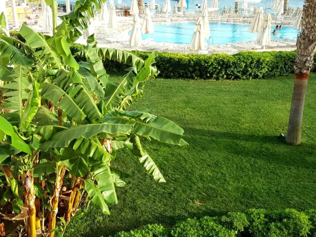 Armonia Holiday Village and Spa - градина