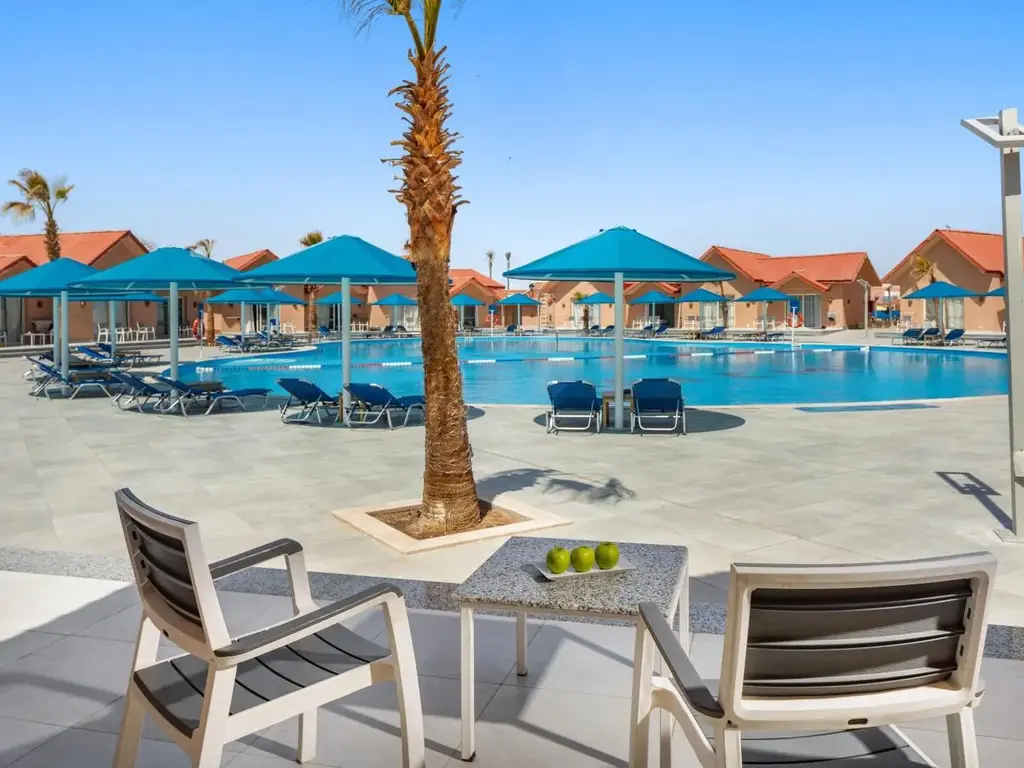 Басейн с тюркоазени чадъри и палма – Pickalbatros Jungle Aqua Park Resort - Neverland Hurghada, Хургада