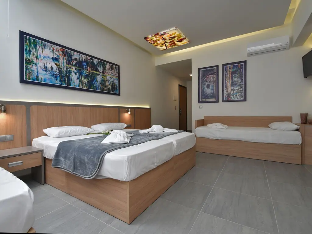 Снимка 12 - Dafni Plus Hotel - Олимпийска ривиера, Гърция