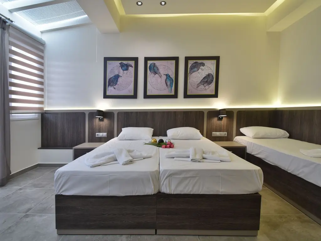 Снимка 9 - Dafni Plus Hotel - Олимпийска ривиера, Гърция