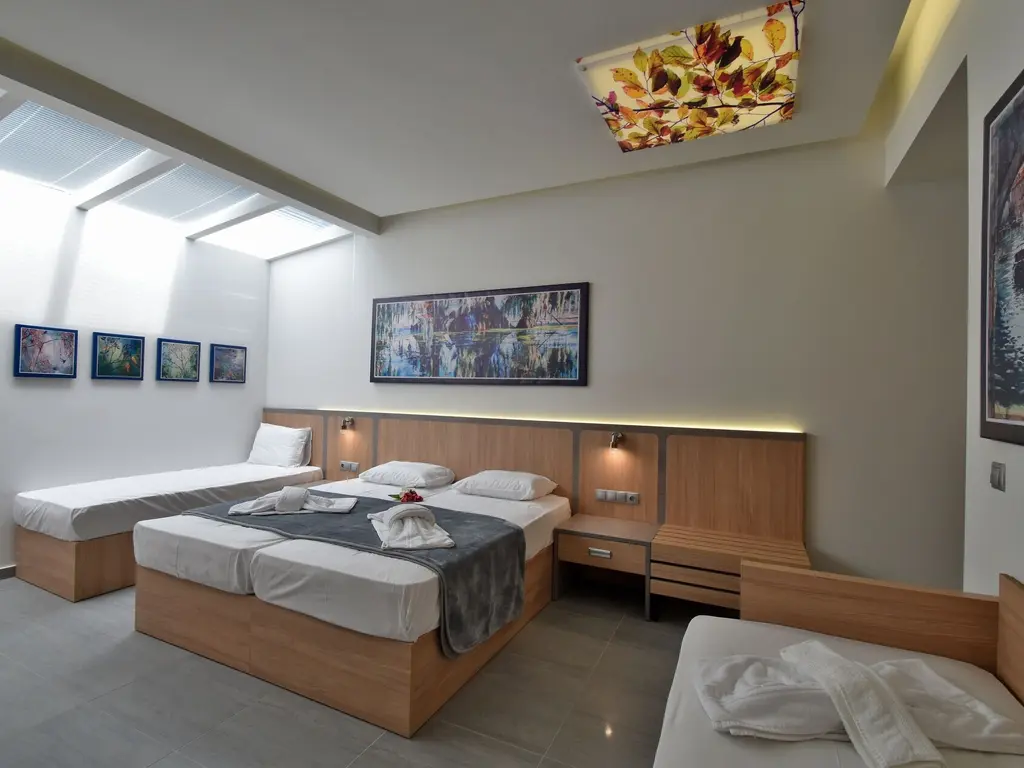 Снимка 13 - Dafni Plus Hotel - Олимпийска ривиера, Гърция