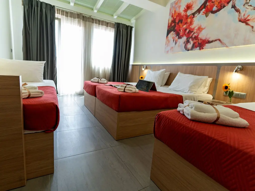 Снимка 17 - Dafni Plus Hotel - Олимпийска ривиера, Гърция