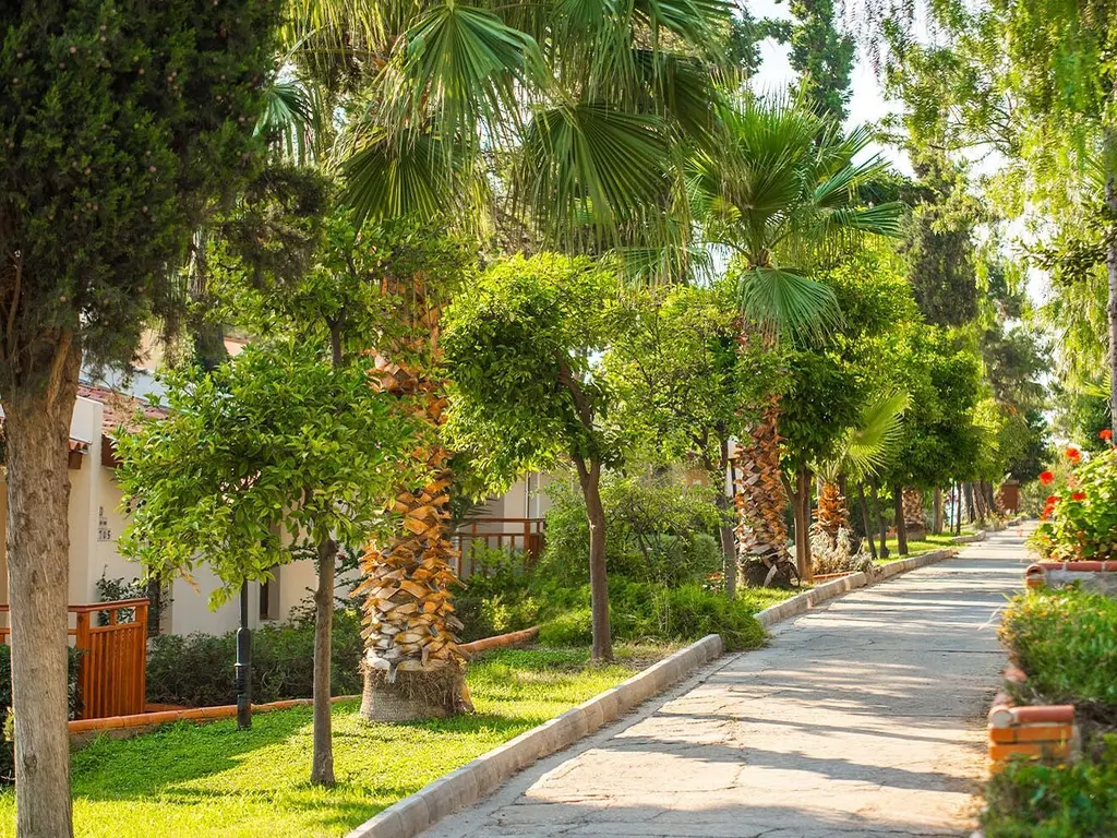 Снимка 7 - Pine Bay Holiday Resort - Кушадасъ, Турция