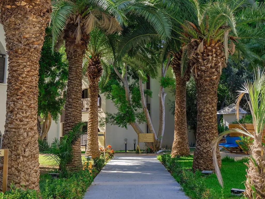 Снимка 18 - Latanya Park Resort - Бодрум, Турция