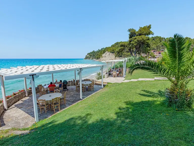 Снимка 25 - Elani Bay Resort - Халкидики-Касандра, Гърция