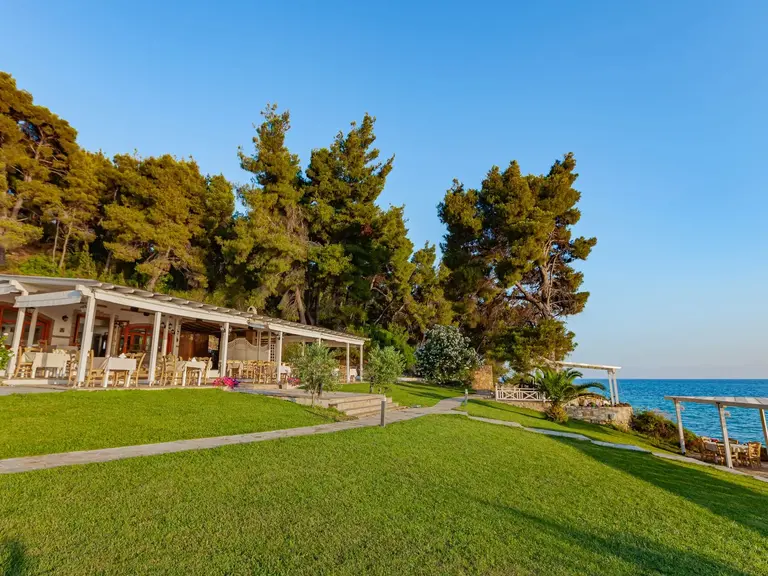 Снимка 23 - Elani Bay Resort - Халкидики-Касандра, Гърция