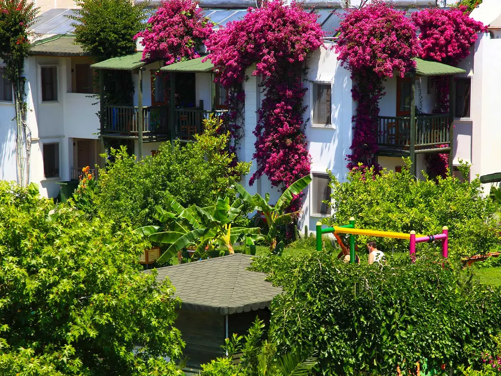 Снимка 4 - Parkim Ayaz Hotel - Бодрум, Турция