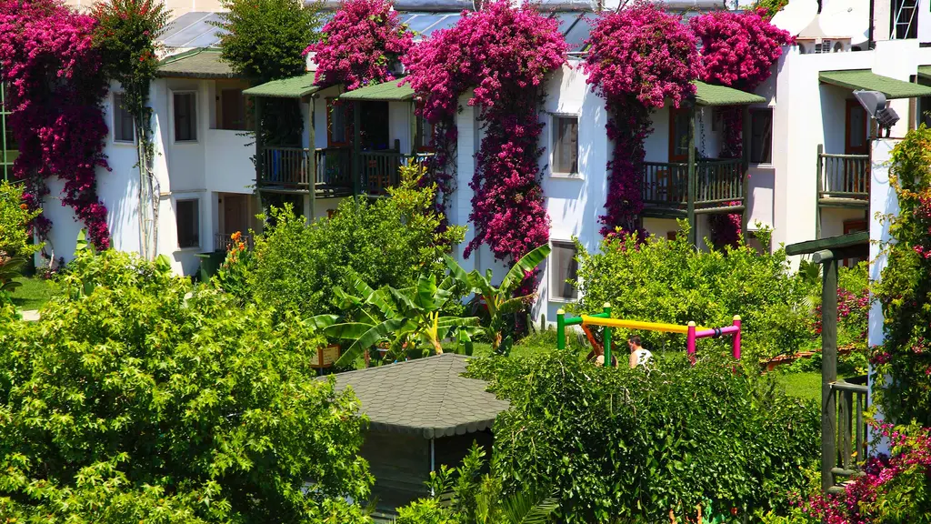 Снимка 4 - Parkim Ayaz Hotel - Бодрум, Турция