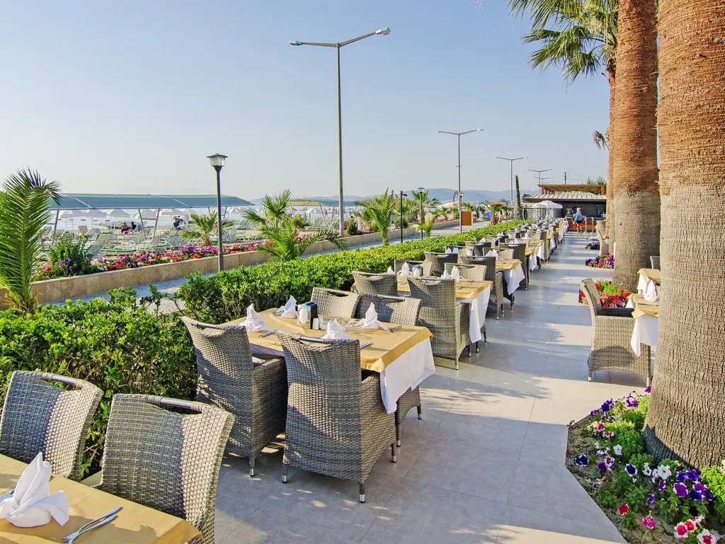 Снимка 24 - Palm Wings Beach Resort & Spa - Кушадасъ, Турция