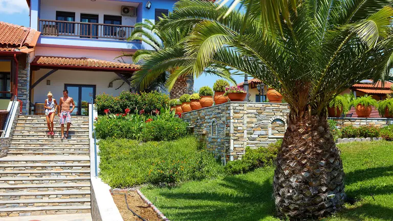 Снимка 4 - Blue Dolphin Hotel - Халкидики-Ситония, Гърция
