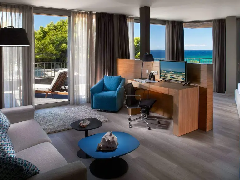 Снимка 12 - Blue Dolphin Hotel - Халкидики-Ситония, Гърция