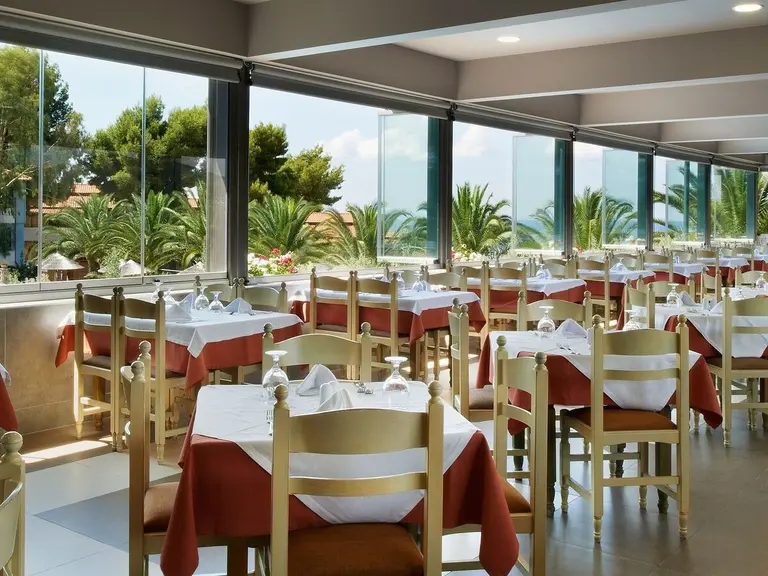 Снимка 17 - Blue Dolphin Hotel - Халкидики-Ситония, Гърция