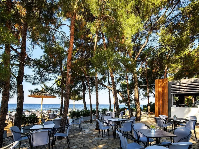 Снимка 27 - Blue Dolphin Hotel - Халкидики-Ситония, Гърция