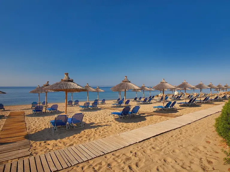 Снимка 41 - Blue Dolphin Hotel - Халкидики-Ситония, Гърция