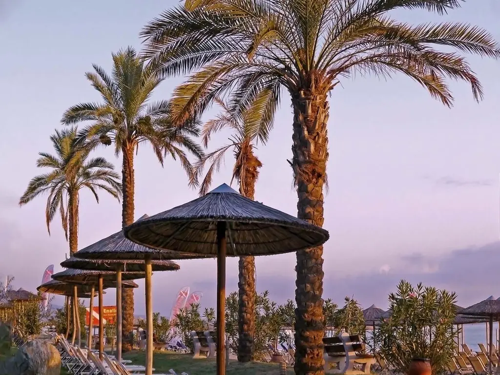 Снимка 52 - Cronwell Platamon Resort - Олимпийска ривиера, Гърция