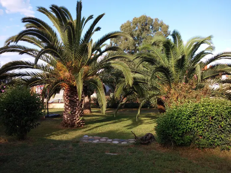 Снимка 20 - Porto Matina - Халкидики-Ситония, Гърция