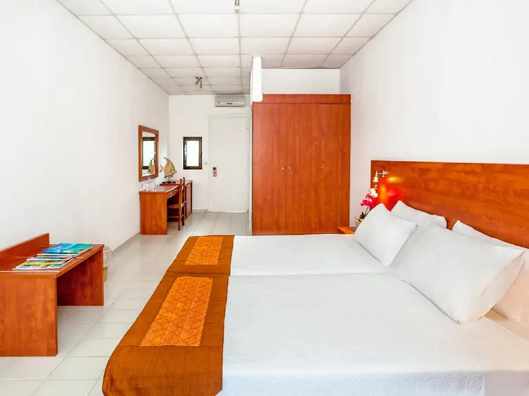 Снимка 9 - Xenios Dolphin Beach - Халкидики-Касандра, Гърция