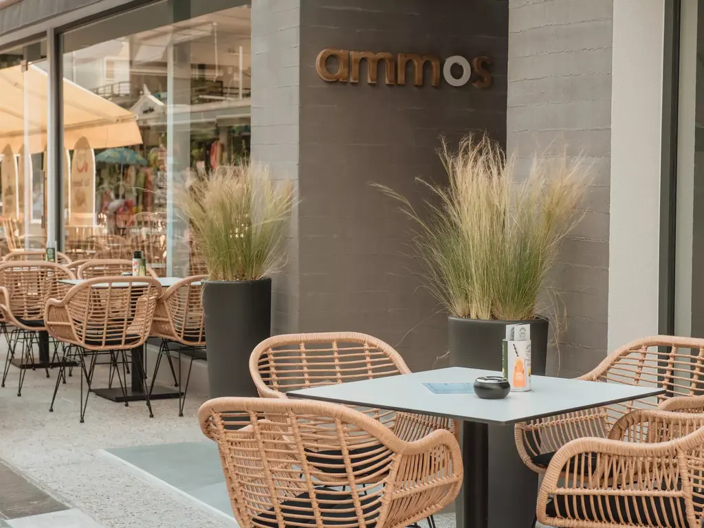Снимка 26 - Ammos Beach Seaside Luxury Suites - Олимпийска ривиера, Гърция
