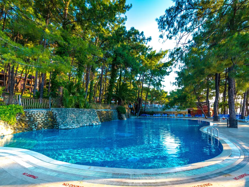 Снимка 2 - Grand Yazici Marmaris Palace - Мармарис, Турция