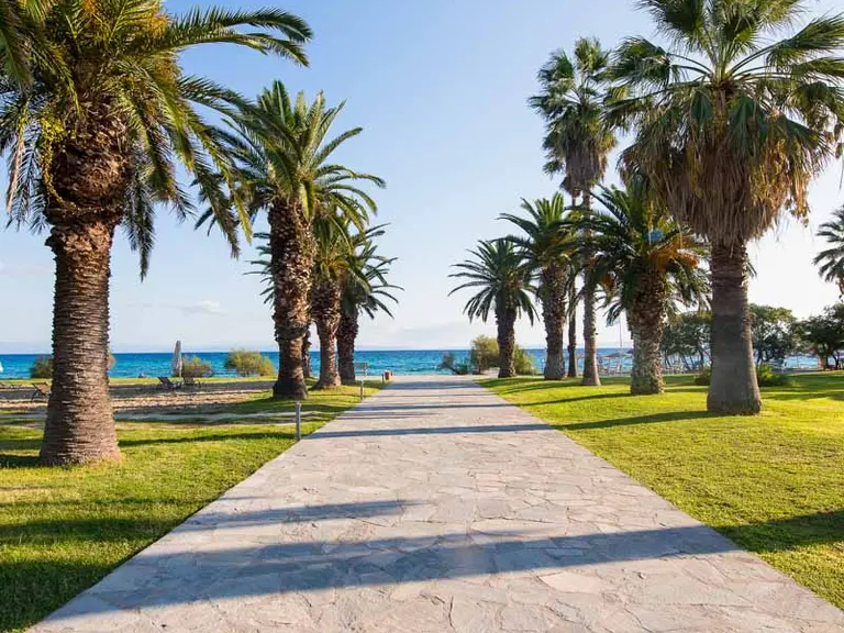 Снимка 36 - Kassandra Palace Seaside Resort - Халкидики-Касандра, Гърция