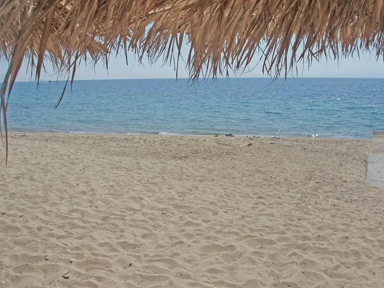 Снимка 4 - Bianco Olympico Beach Resort - Халкидики-Ситония, Гърция