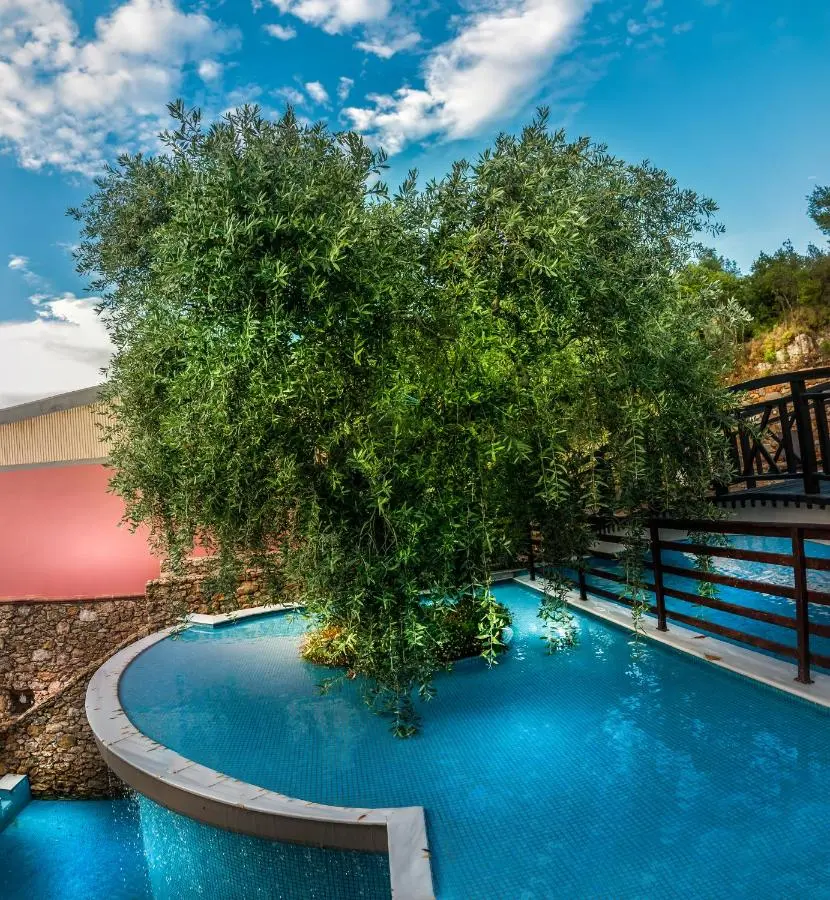 Снимка 34 - Kallisti Hotel - Тасос, Гърция