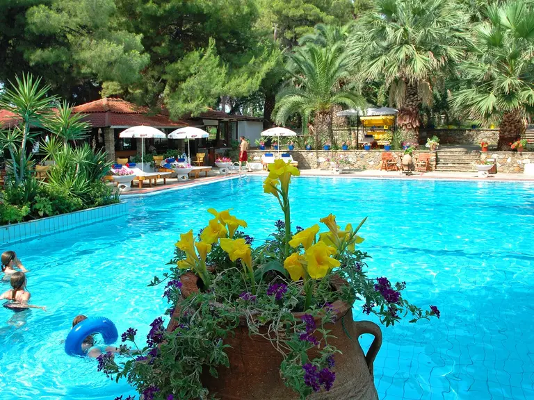 Снимка 19 - Porfi Beach Hotel - Халкидики-Ситония, Гърция