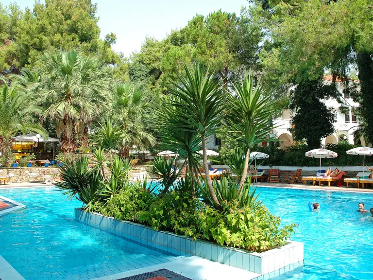 Снимка 20 - Porfi Beach Hotel - Халкидики-Ситония, Гърция