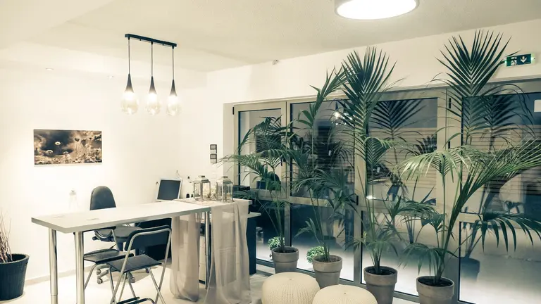 Снимка 2 - Hotel Vozina - Халкидики-Ситония, Гърция