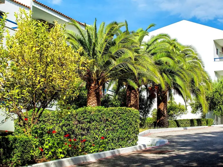 Снимка 4 - Xenios Port Marina - Халкидики-Касандра, Гърция