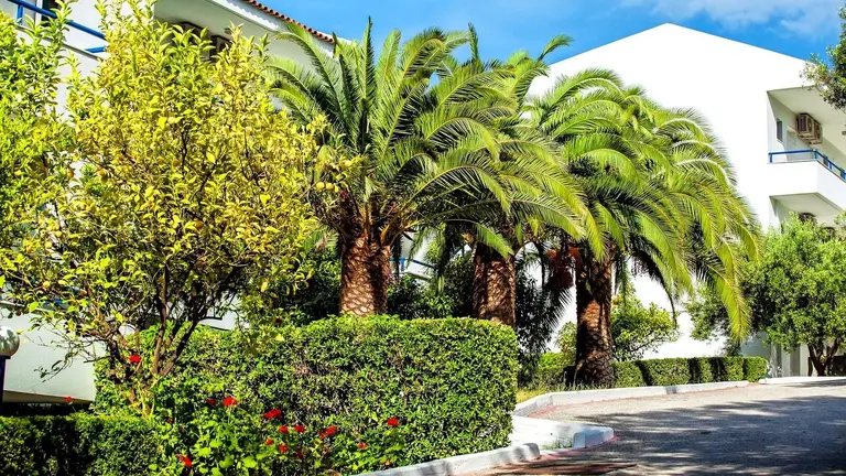 Снимка 4 - Xenios Port Marina - Халкидики-Касандра, Гърция